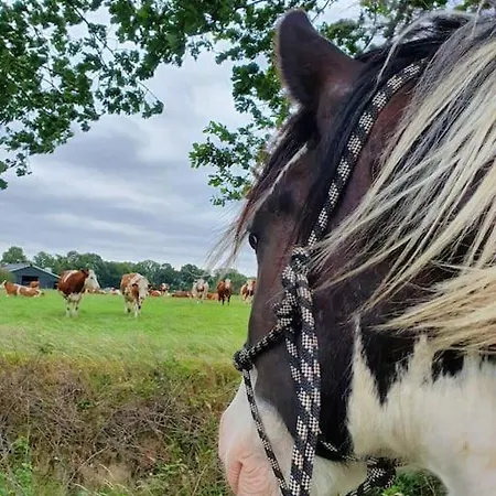 Leuk boerderijtje op prachtige plek, nabij natuurgebied Ruurlo Buitenkant foto