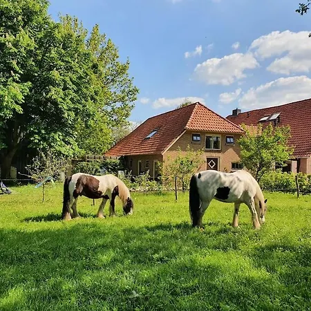 Leuk boerderijtje op prachtige plek, nabij natuurgebied Ruurlo Buitenkant foto