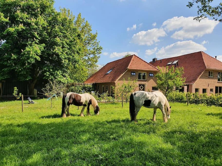 Boerderijtje Op Prachtige Plek, Nabij Natuurgebied Holiday home Ruurlo