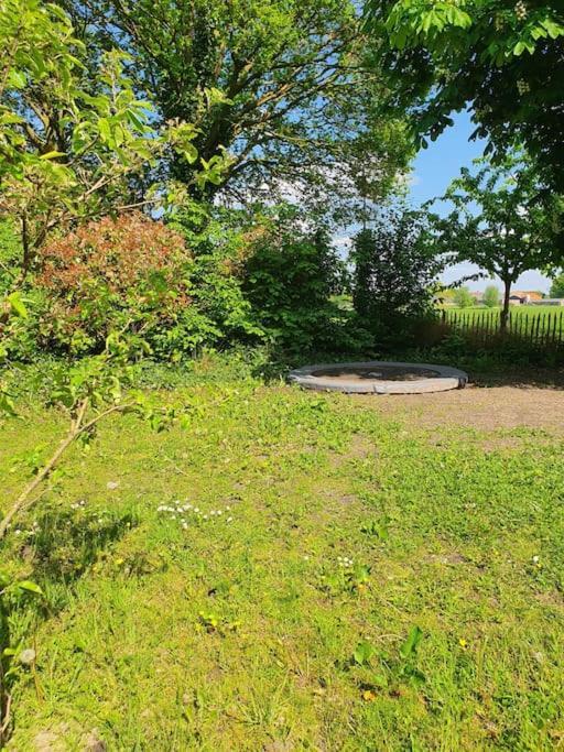 Boerderijtje Op Prachtige Plek, Nabij Natuurgebied Holiday home Ruurlo