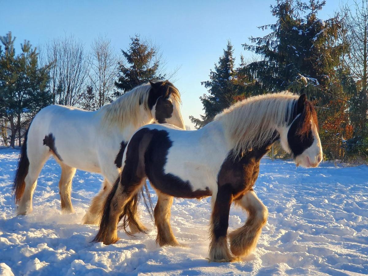 Boerderijtje Op Prachtige Plek, Nabij Natuurgebied Holiday home *