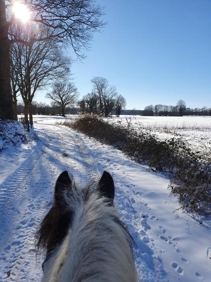 Boerderijtje Op Prachtige Plek, Nabij Natuurgebied