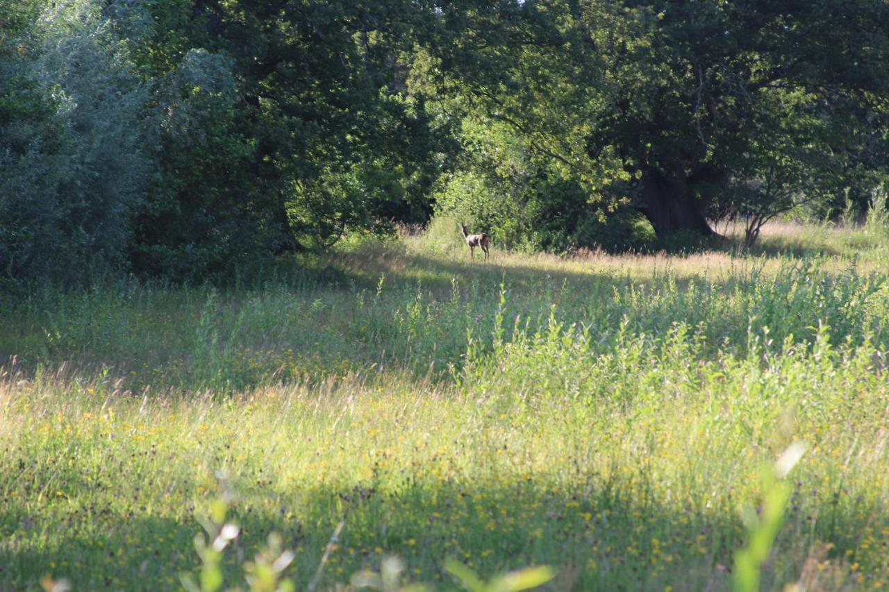 Holiday home Boerderijtje Op Prachtige Plek, Nabij Natuurgebied *