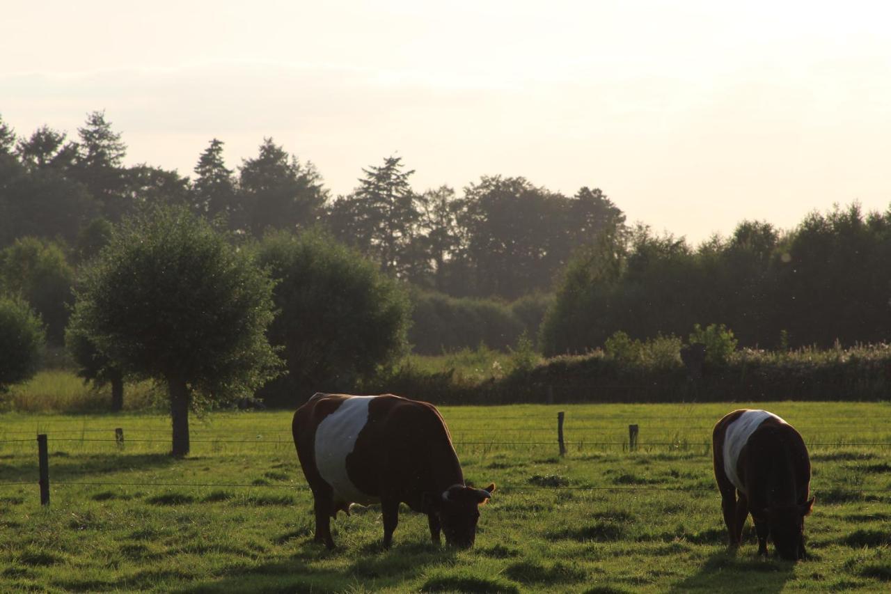 Boerderijtje Op Prachtige Plek, Nabij Natuurgebied Holiday home Ruurlo